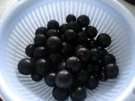 Jaboticaba berries
